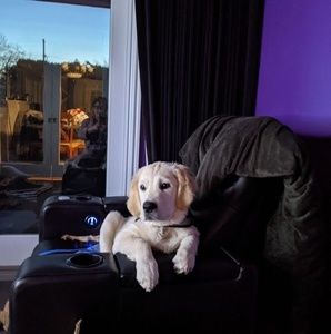 Meet your Posher, Sherry